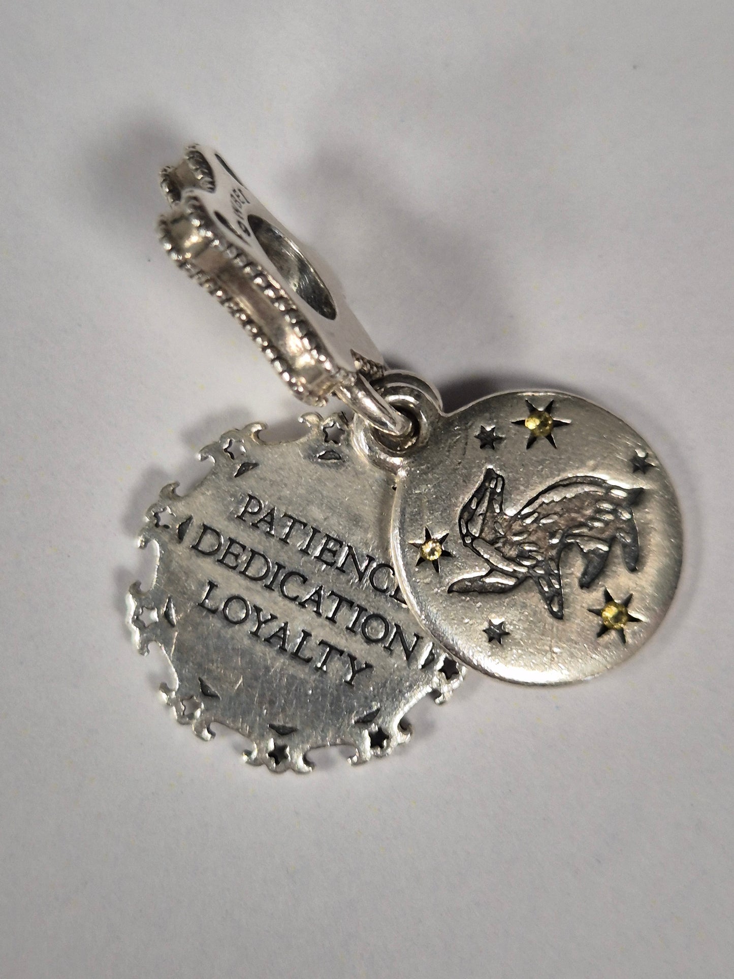 Harry Potter Pandora Charm